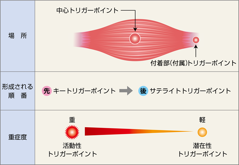 それらは機能しますか？
