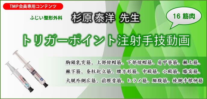 トリガーポイント注射手技動画「16筋肉」