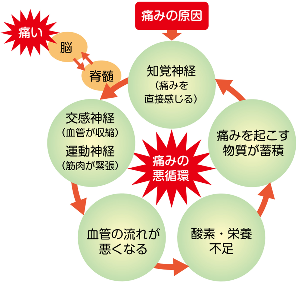 痛みの悪循環を断ち切る Trigger Point Net トリガーポイント ネット